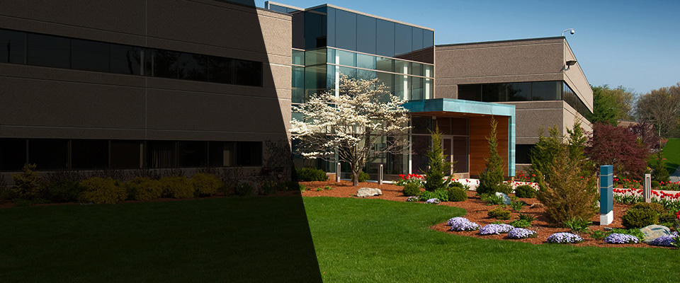 Willows Landscapers