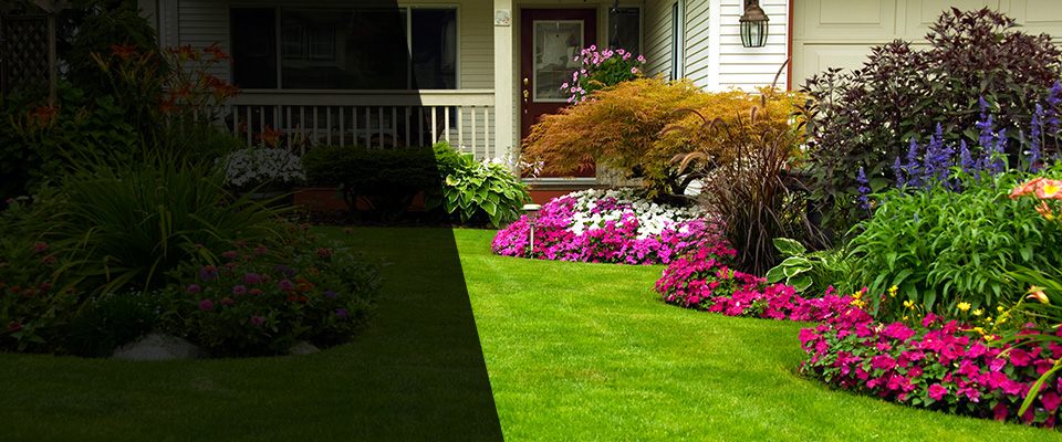 Willows Landscapers