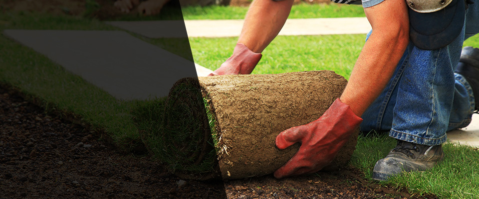 Willows Landscapers